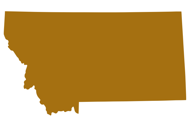 montana security solutions