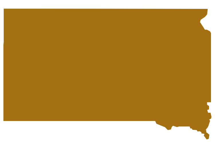 south dakota security solutions