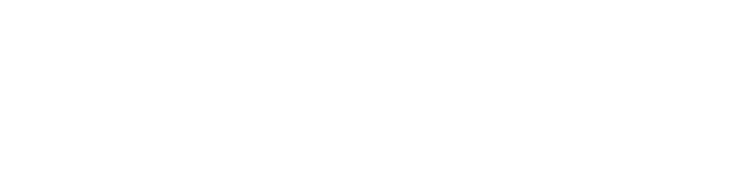 Security View Power Solutions logo featuring a shield with a camera icon beside the brand name.
